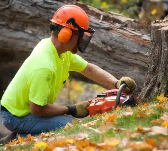 tree services Clara City